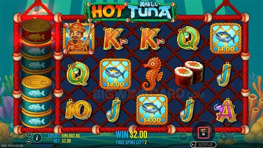 Dynamic Live Betting Interface